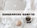泗洪昆虫网站高清照片素材（昆虫图片下载）